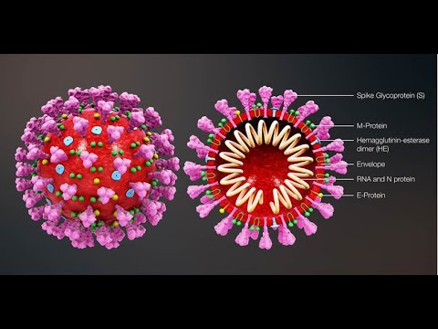 Coronavirus: RO stats, How Boosting the immune system works