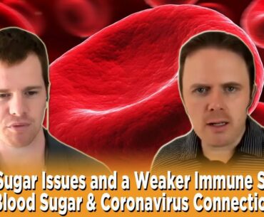 Blood Sugar Issues and a Weaker Immune System - Blood Sugar & Coronavirus Connection | Podcast #278