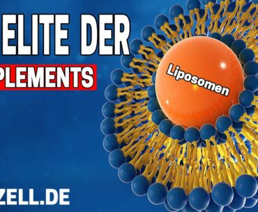 Meine eigenen Supplements sind da! Liposomales Vitamin B12, OPC, Vitamin C + Zink , Kurkuma