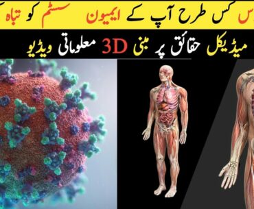 How Does Corona Virus | Covid-19|  Destroy Your Immune System in 3d Animation Urdu/Hindi |Sachi Bat|