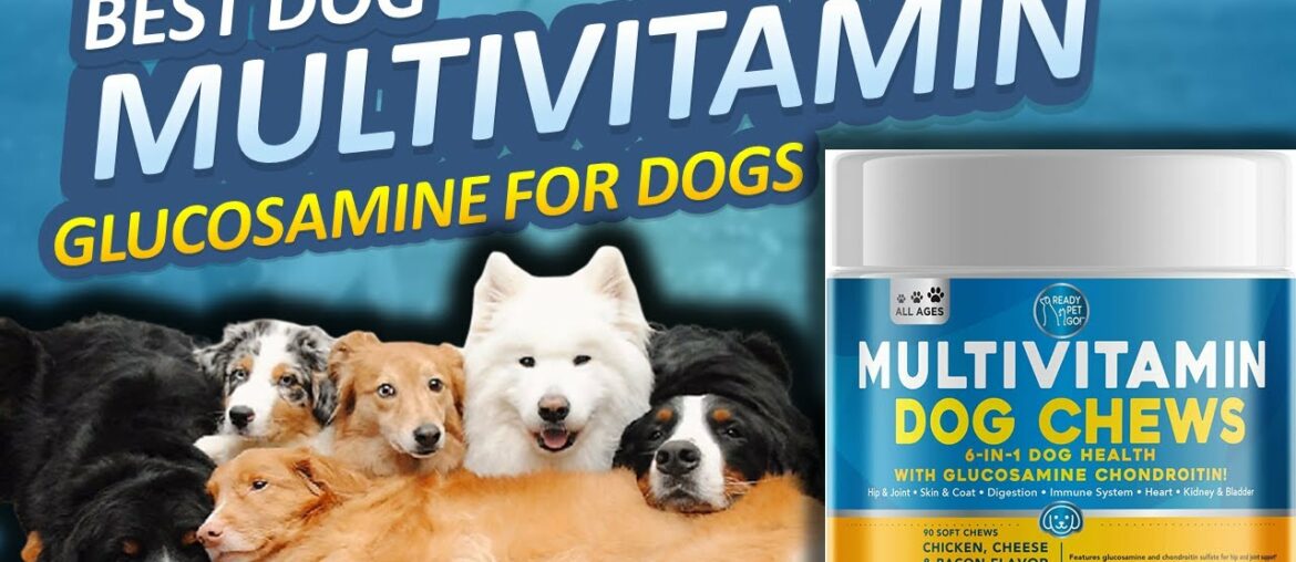 Dog Multivitamin - Glucosamine for Dogs - Probiotics for Dogs - Dog Immune, Heart, Skin and Coat