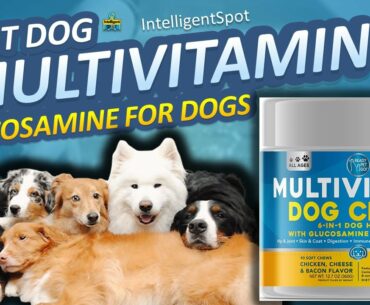 Dog Multivitamin - Glucosamine for Dogs - Probiotics for Dogs - Dog Immune, Heart, Skin and Coat