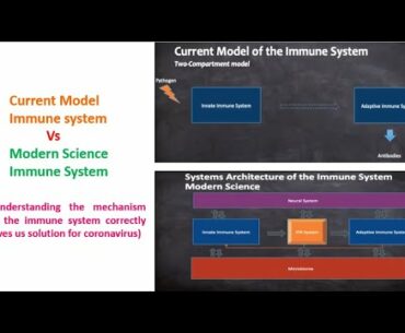 Understanding the mechanism of the immune system correctly in depth gives solution for coronavirus