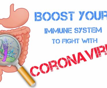 How to boost your Immune system to fight with coronavirus | by Fitguru |
