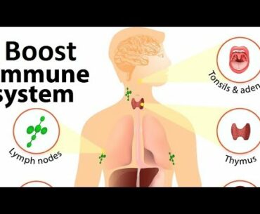 HOW TO BOOST IMMUNE SYSTEM - 7 WAYS TO BOOST YOUR IMMUNITY NATURALLY