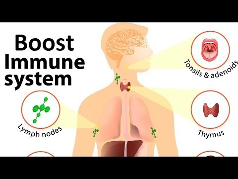 HOW TO BOOST IMMUNE SYSTEM - 7 WAYS TO BOOST YOUR IMMUNITY NATURALLY