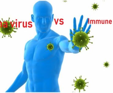 Coronavirus VS Immune system|Human Body|Immune system|