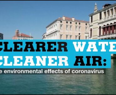 Clearer water, cleaner air: the environmental effects of coronavirus