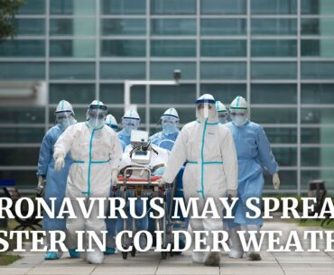 Coronavirus ‘highly sensitive’ to warmer temperatures, Chinese study says