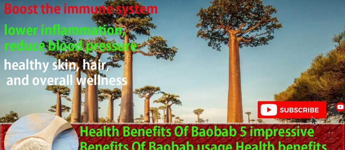 Healthy 5 impressive Benefits Of Baobab usage - health benefits of baobab oil Health & Science