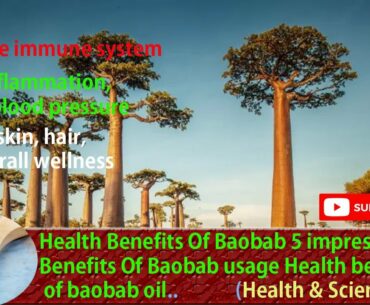 Healthy 5 impressive Benefits Of Baobab usage - health benefits of baobab oil Health & Science