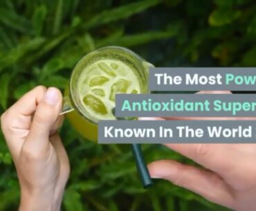 The Most Powerful Antioxidant Superfood Known In The World 2020