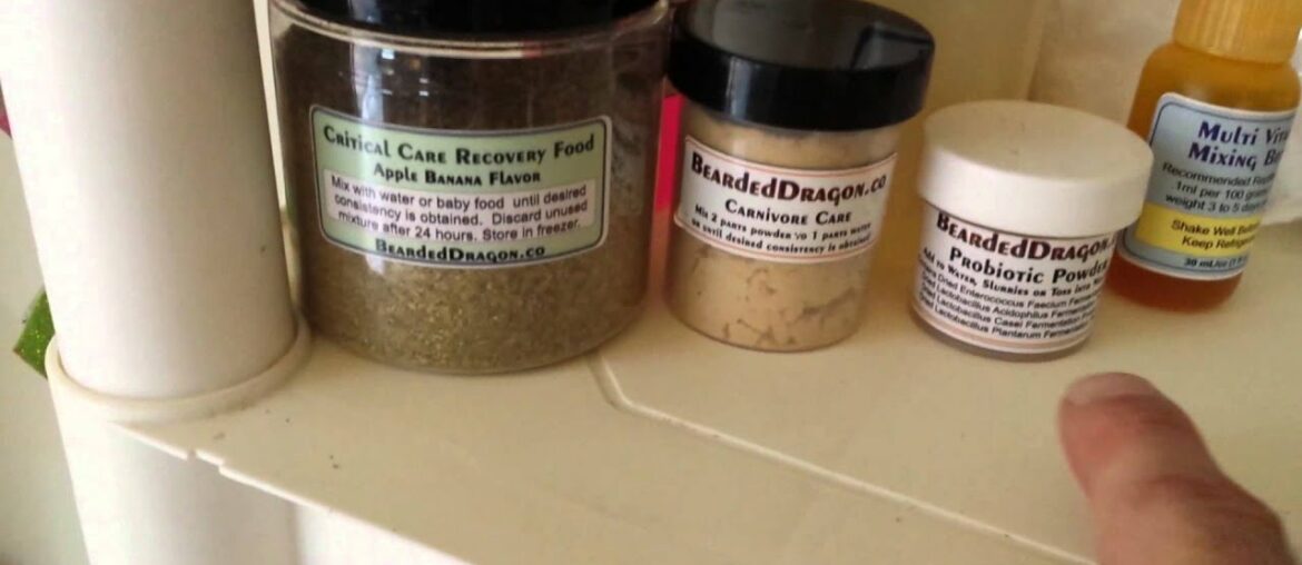 My beardies supplements and vitamins