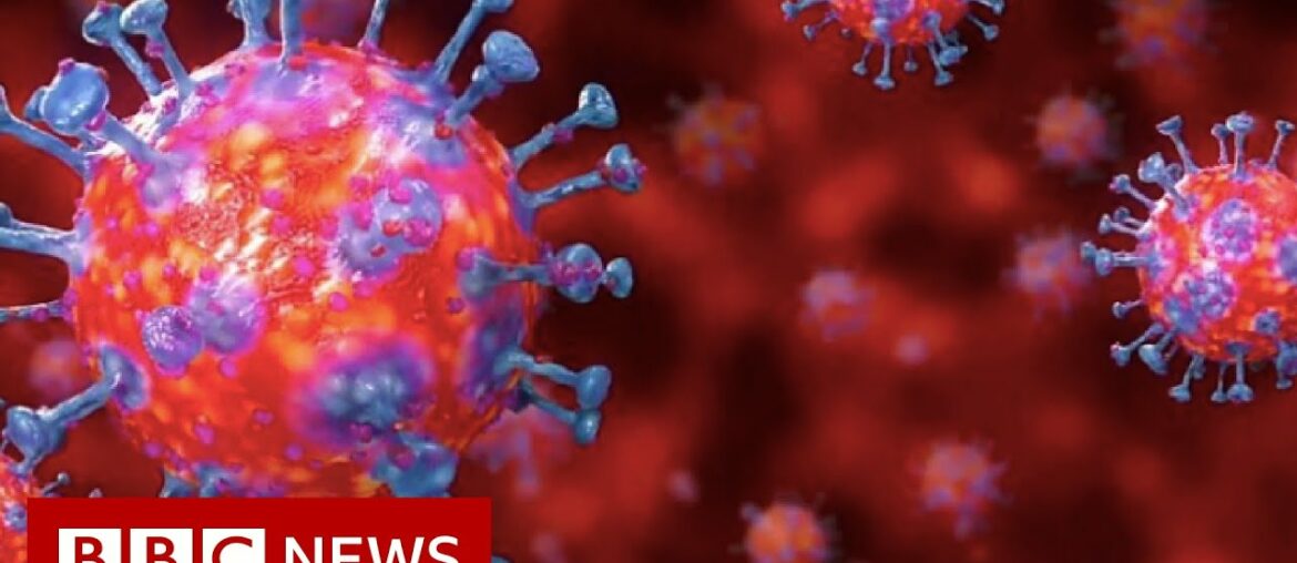 Coronavirus explained in 60 seconds - BBC News