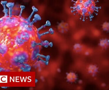 Coronavirus explained in 60 seconds - BBC News