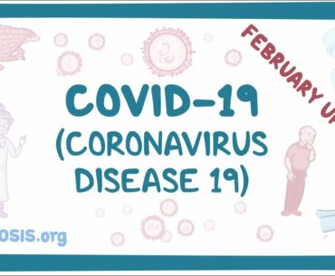 COVID-19 (Coronavirus Disease 19) - February Update - causes, symptoms, diagnosis, pathology