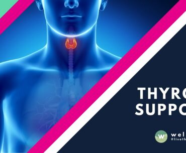 Thyroid Support Supplement by Wellaholic