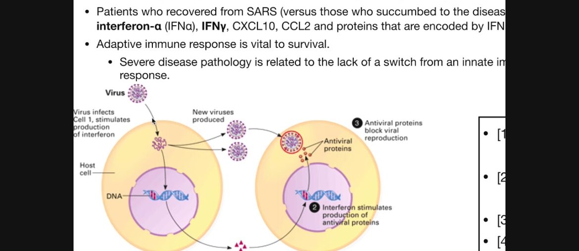 How Can Coronavirus Harm You? | SARS-CoV-2 Pathophysiology