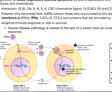 How Can Coronavirus Harm You? | SARS-CoV-2 Pathophysiology