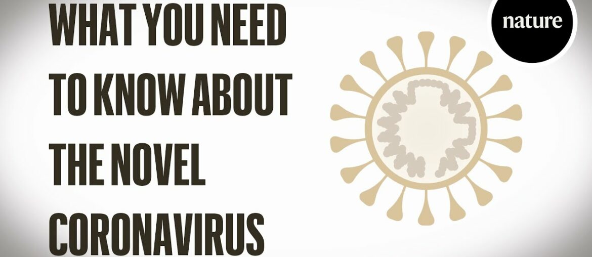 What you need to know about the novel coronavirus