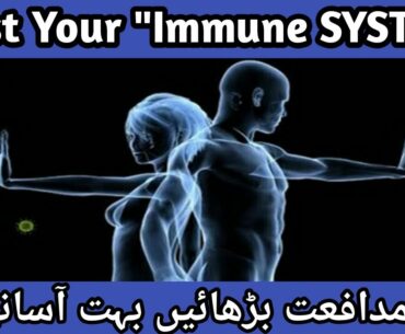 Immune system strong banayen | Immune system ko mazboot banayen