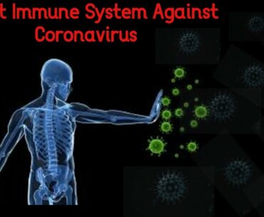 Boost Immune System Against Coronavirus