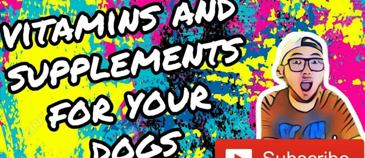 Vitamins and supplements for your dogs