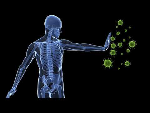 NANO ALTERED CORONAVIRUS: Fortify the Immune System – Tony Pantalleresco