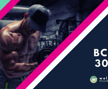 BCAA 3000 Supplement by Wellaholic