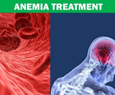 The Role of Iron, Vitamin B12 and Red Blood Cells in Anemia - Hematology