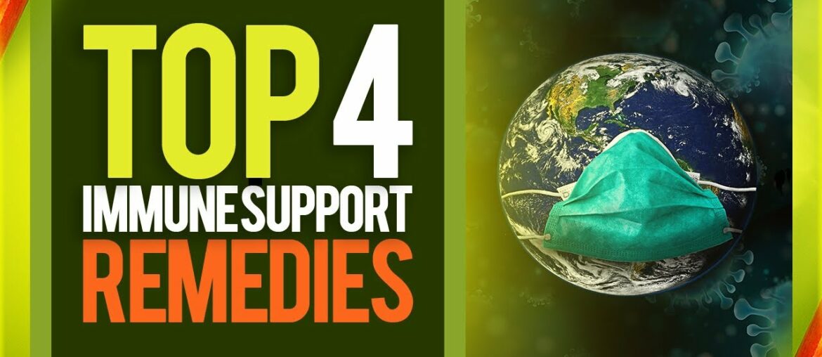 Top 4 Immune Support Supplements