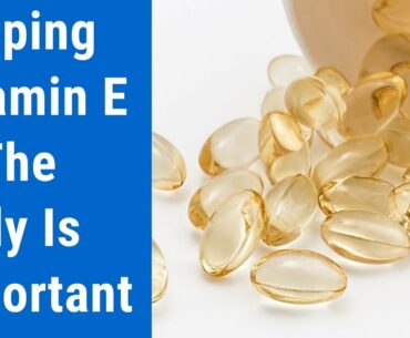 Keeping Vitamin E In The Body Is Very important