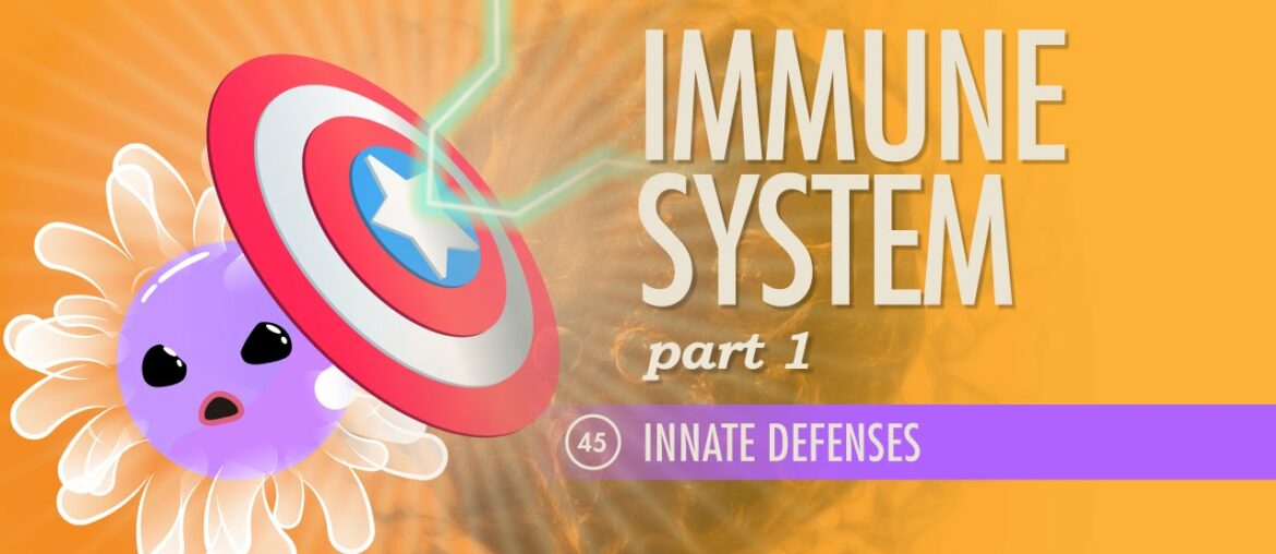 Immune System, Part 1: Crash Course A&P #45