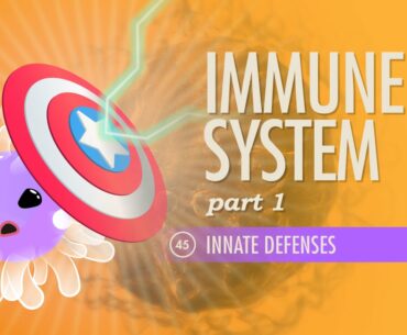 Immune System, Part 1: Crash Course A&P #45