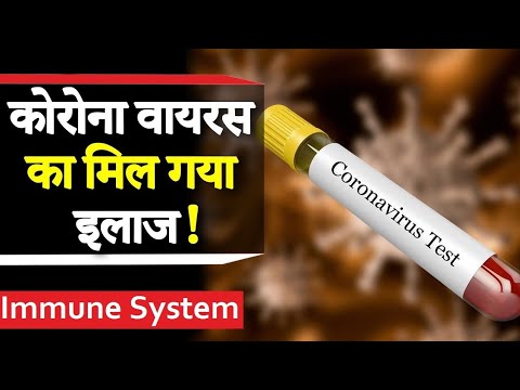 Coronavirus ka ilaj in india || Coronavirus vaccine in hindi || How the immune system fight Corona?