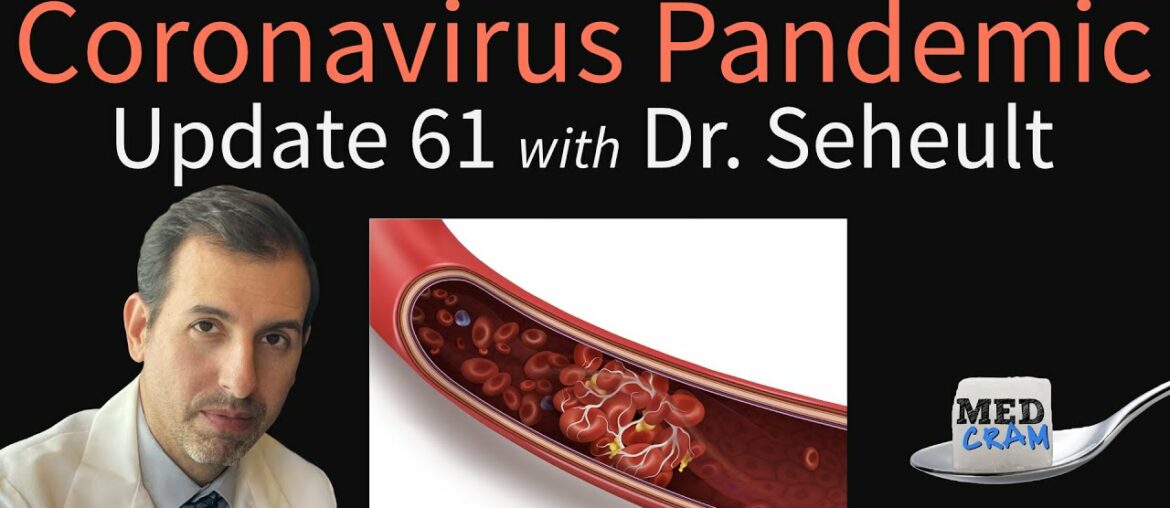 Coronavirus Pandemic Update 61: Blood Clots & Strokes in COVID-19; ACE-2 Receptor; Oxidative Stress