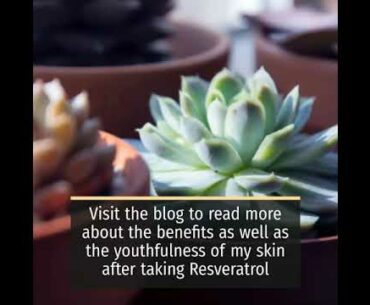 Resveratrol, One of My Favorite Supplements