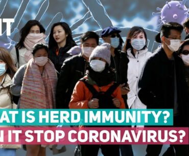 Coronavirus: What is Herd Immunity? Is it an Effective Strategy Against COVID-19? | The Quint