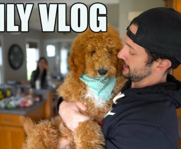 Daily Vlog #21| Taking Vitamins for the first time in 10+ years | Workout of the day