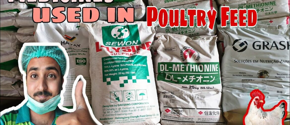 Medicines used in Poultry feed🐓🐓 || Premix, Mineral, Multi Vitamins & Amino Acids