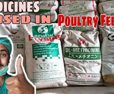 Medicines used in Poultry feed🐓🐓 || Premix, Mineral, Multi Vitamins & Amino Acids