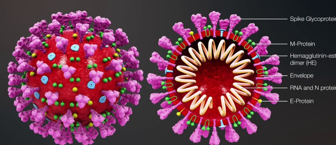 Dr. True talks about Immunity boosting Vitamins and Peptides during Coronavirus