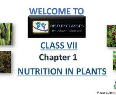 Chapter 1  - NUTRITION IN PLANTS - SCIENCE | Class 7 in Hindi explanation |   | RISEUP CLASSES |