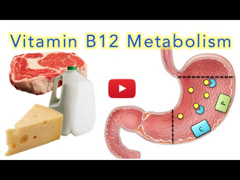 Vitamin B12 (Cobalamin) Absorption, Metabolism and Deficiency - MADE EASY