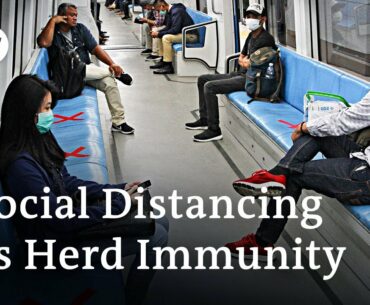 Can controlled 'herd immunity' be an alternative to social distancing? | Coronavirus Analysis