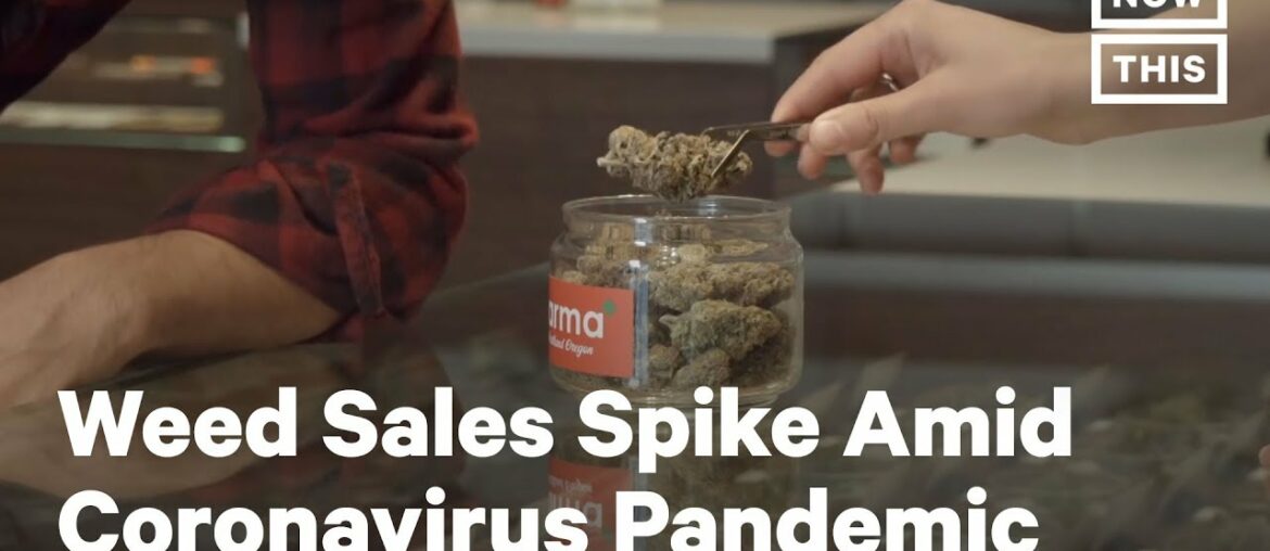 COVID-19 Pandemic Sees Cannabis Sales Spike | NowThis