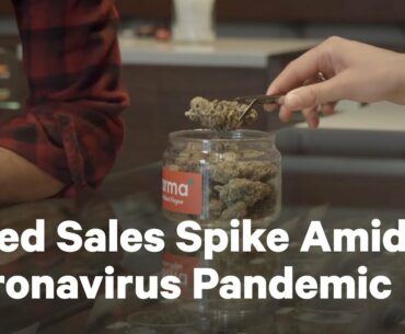 COVID-19 Pandemic Sees Cannabis Sales Spike | NowThis