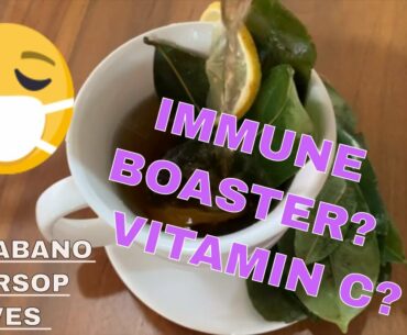 IMMUNE BOASTER FRESH GUYABANO  -  SOURSOP LEAVES TEA HAS VITAMIN C?