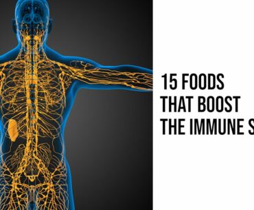 15 Foods That Boost the Immune System | Immune system boosters foods