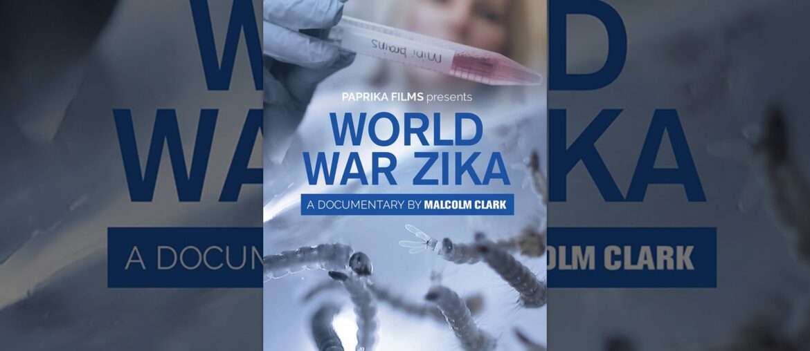 World War Zika